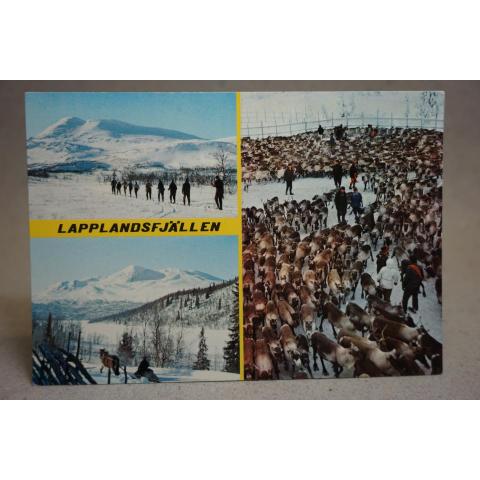 Renar Lappland - skrivet äldre vykort 1980-talet