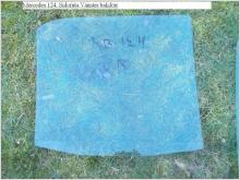 Mercedes 124. Sidoruta Vänster bakdörr. Bra Beg