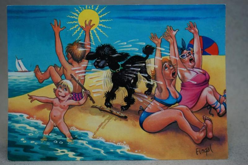 Hund duschar solbadare - skrivet vykort - Fingal