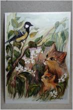 Vackert vykort med Fågel och söta Katter av Enar Jiwestam 2001 Oskrivet