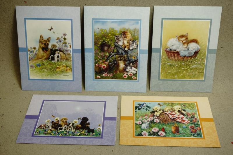 5 vackra dubbelvikta kort med söta hundar och kattungar - oskrivna vykort med kuvert