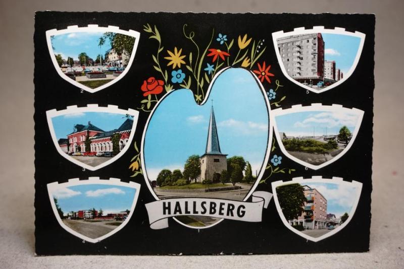 Palettkort - Vyer från Hallsberg - Flerbild - Fin Svensk evenemangstämpel / Ortsstämpel Borås 1981