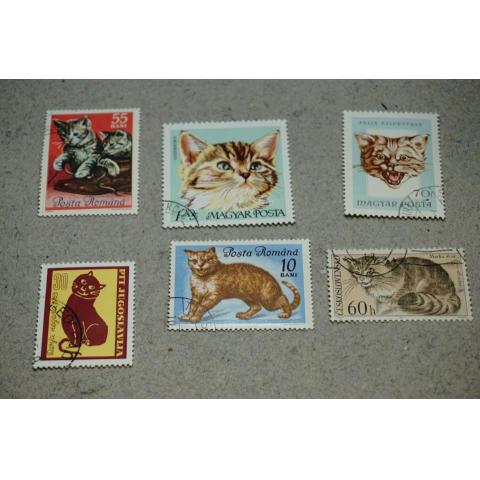 Motiv Katt - 6 stycken äldre  frimärken med katter