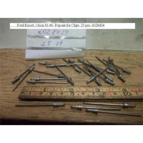 Ford Escort, Orion 81-86. Pop-nit for Clips. 25 st. 6028434