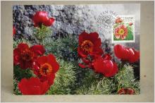 Pioner Maximi vykort med fin stämpel på 2 frimärken