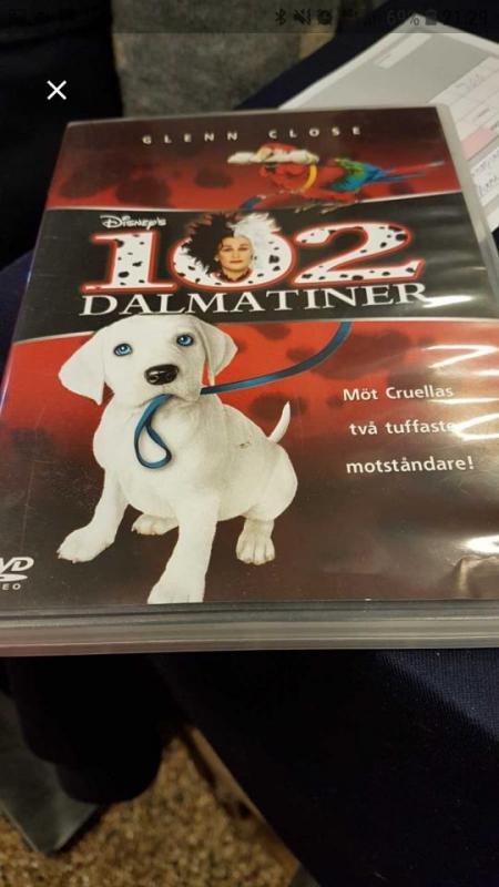 102 dalmatiner