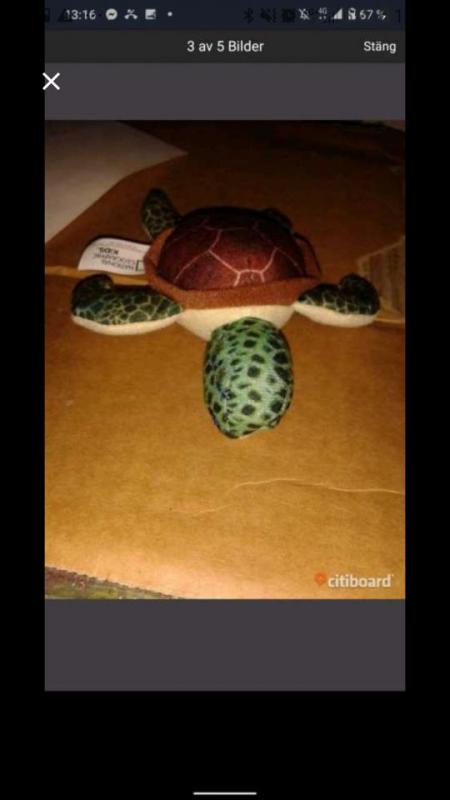 Sköldpadda