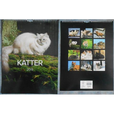 Kalender: Katter 2019