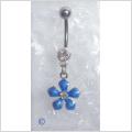 Vacker bl� dinglande blomma!