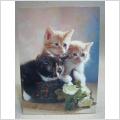 Vykort - Katt - 3 S�ta Katter i korgen