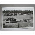Spikarnas Fiskl�ge Sundsvall - Gammalt fin kort fr�n 1940-50-talet