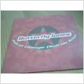 CD/Singel: Butterfly Jones.winds of change (suicide bridge) 2002
