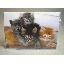 Dubbelvikt nytt oskrivet Kort med kuvert söta kattungar