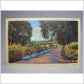 Flower Bordered in California Oskrivet gammalt vykort