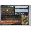 Fåglar vid sjö myr och i skog Övre Klarälvdalen Värmland Oskrivet äldre vykort