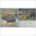 Kalender: Nordic Wildlife 2000