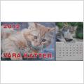 Kalender: Våra Katter 2012
