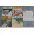 Editions Rencontre; 5 st kort (4 olika) flugor, myggor