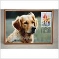 Golden retriever Hundar Maximi vykort med fin stämpel på 2 frimärken