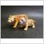 2 Leksakstigrar Tiger