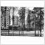 Vykort. Stockholm. Farsta  Säfflegatan 1950-60 tal. Pressbyrån 301130