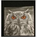 servett med uggla