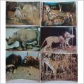 Nationalmuséet, Exotiska djur (9 kort) oanvända