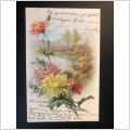 Gammalt fint blomster korttidigt 1900 tal