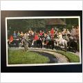 København Zoo Ridebanen 1955 Danmark