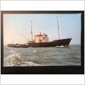 M.sl.b Holland