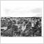 Vykort. Stockholm. Traneberg  PB 30960 1950 -1960.