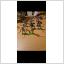 12 riddare
