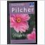 Pocket - Rosamunde Pilcher - Midvinter
