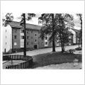 Vykort.Stockholm. Ulriksdal. Fläderstigen,, Pressbyrånkort  301263