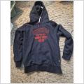 Hoddies dolphins xl