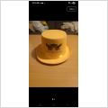 Hatt