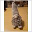 Tomte