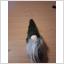 Tomte