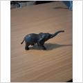 Elefant